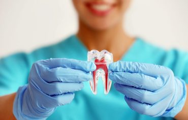 Endodontia
